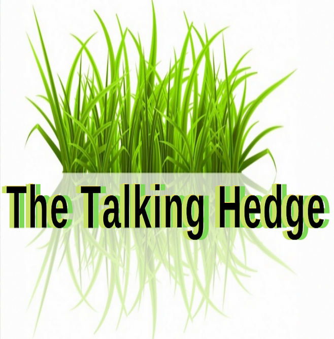 The Talking Hedge Podcast How this Shipping Company Could Disrupt the Cannabis Industry President Kevin Schultz The 357 Company 357 Canna Logistics